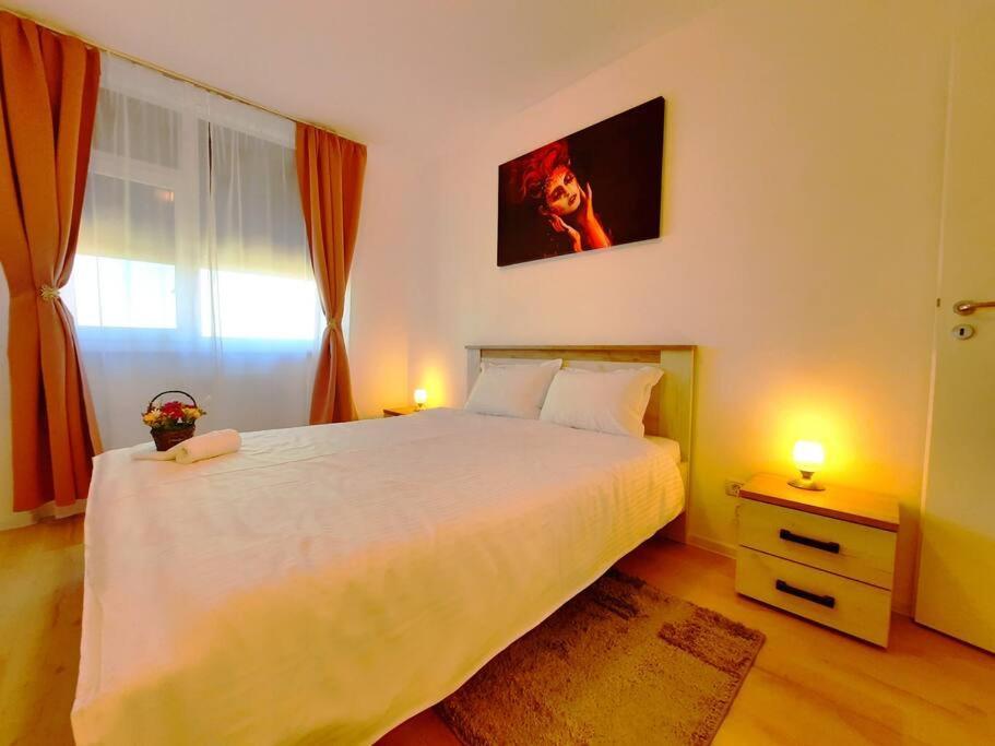 Beautiful Panoramic Central Apartment - City Of Mara Timişoara Exterior foto